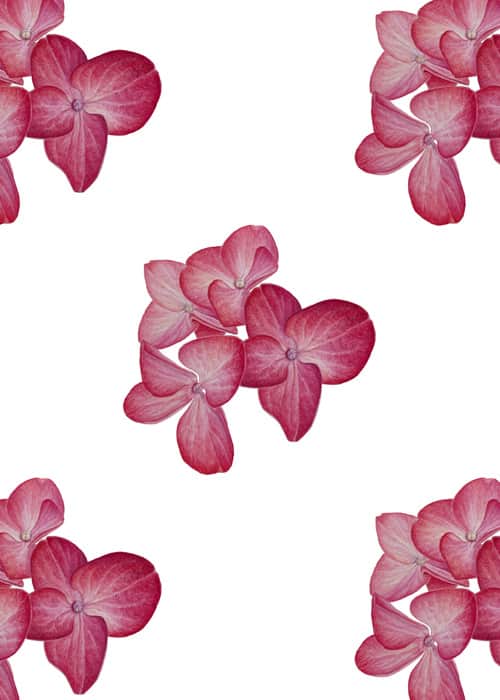 Prints for textiles "Hydrangea"