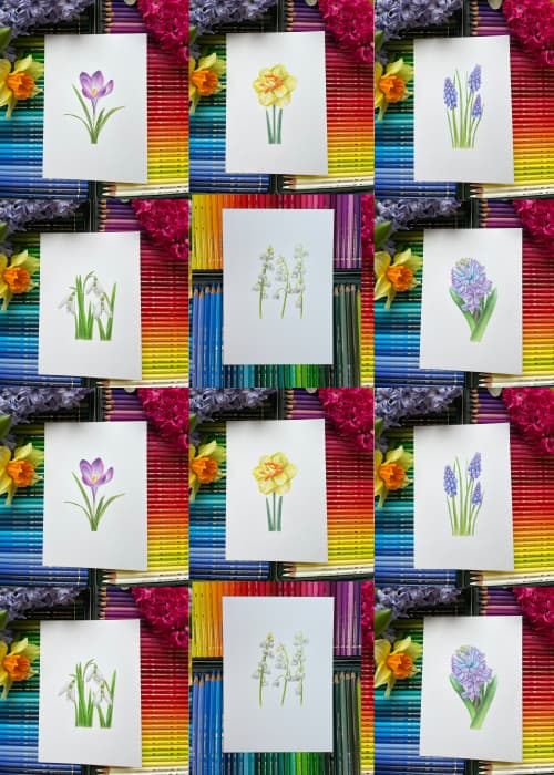 Postcard set of 8 Botanical Illustration "Stolen Spring"